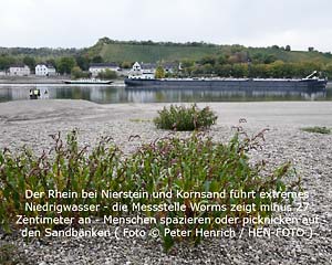 Der Rhein bei Nierstein und Kornsand führt extremes Niedrigwasser - die Messstelle Worms zeigt minus 27 Zentimeter an - Menschen spazieren oder picknicken auf den Sandbänken ( Foto © Peter Henrich / HEN-FOTO ) Der Rhein bei Nierstein und Kornsand führt extremes Niedrigwasser - die Messstelle Worms zeigt minus 27 Zentimeter an - Menschen spazieren oder picknicken auf den Sandbänken ( Foto © Peter Henrich / HEN-FOTO )